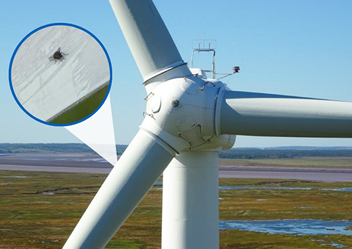 Imaging demonstration: detection of a housefly on a wind turbine from a great distance